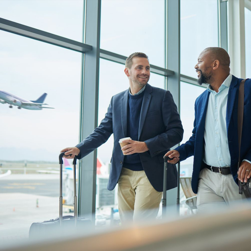 Safari Tour Experience